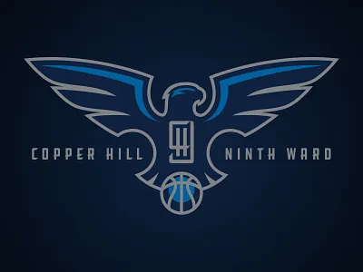 Copper Hill Ninth Ward Falcons Primary athletics basketball bird copper falcon hill logo ninth sports ward