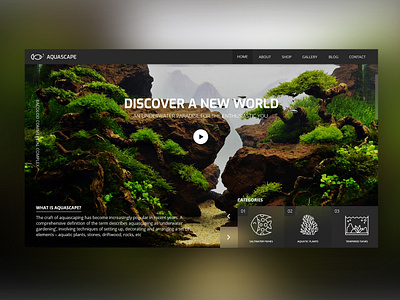 Aquascape aquascape ui ux web design