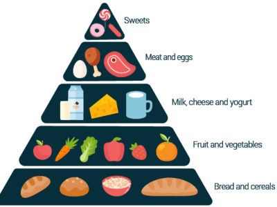 Food pyramid adobe adobe illustrator cc design food food and drink food art illustration pyramid vector vector art vector artwork web