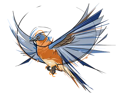 Bluebird bird blue bluebird drawing