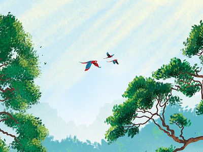 Macaws picturebook