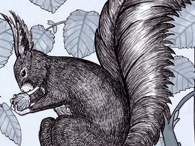 Squirrel II hazelnut marker squirrel