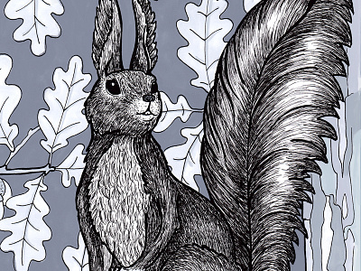 Squirrel I drawing marker pen oak squirrel