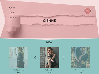 Cienne cienne internet shop ui ux web design