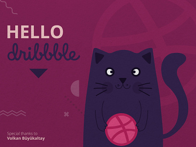 Dribbble First Post cat cat illustration design dribbble ball hello dribbble illustration