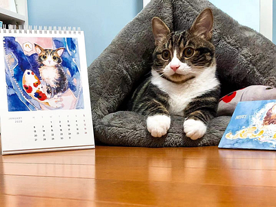 My cat-lendar and the real cat. cat cat illustration catlover cute prints product productdesign