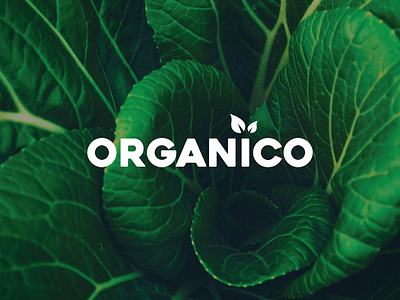 Organico 1/3 - Brand mark app branding design digital flat graphics icon identity illustration lettering logo minimal mobile type typography ui ux vector web website