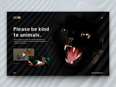 Please be kind to animals animals landing page web