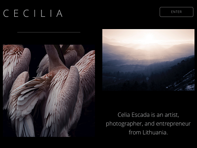 Portfolio Website Design art black blue design pink portfolio sketch ui ux web webdesign webdesigner website website concept