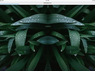 Brutalist Website Design 2 art design green leaves nature sketch webdesign website website concept