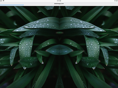 Brutalist Website Design 2 art design green leaves nature sketch webdesign website website concept