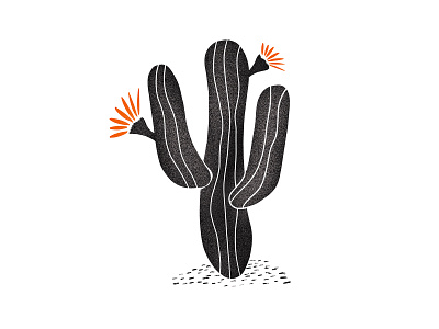 Caclower apple pencil cactus floral flower illustration ipadpro plant procreate