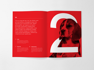 Puppy guide branding design lettering minimal type typography