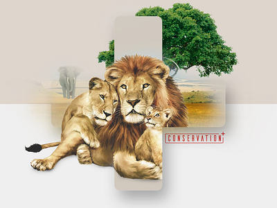 Conservation+ Brand Exploration #5 brand brand and identity brand assets branding charity lion plus wildlife zoo