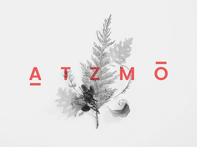 ATZMO branding design logo logo design naming