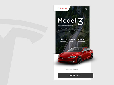 Daily UI Design - Tesla Model 3 Landing Page branding design interaction design mobile apps ui ui design user experience design user interface user interface design ux ux design web web design website website design wire frame