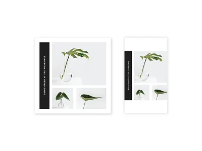 Vanilla Social Media Pack clean design designs fresh instagram instastories instastory media minimal modern post posts social stories story template templates