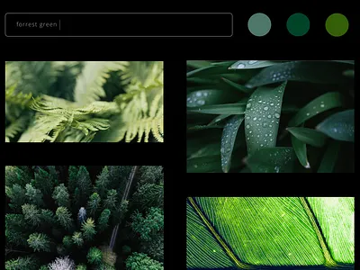 Color Picker Concept Website 3 art black color color picker creative dark mode design green leaves nature outdoors sketch ui ux web webdesign webdesigner website website concept