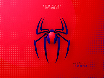 3/3 Spider Specimen: Peter Parker abstract logo animal animal character animal icon clean icon illustrator logo logo a day logotype marvel spider spiderman spiderverse vector