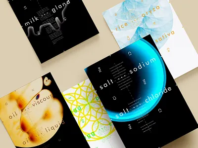 Flavor Element egg element flavor milk oil poster rice salt