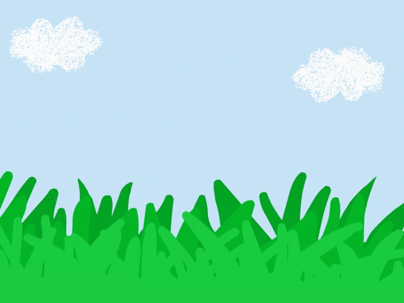 Bounding Bernard 2d animation adobe animate animated dog animated gif animation cockapoo dog dog animation flash animation gif gif animation tradigital