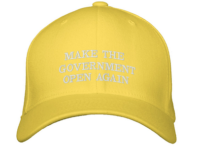 Make the Government Open Again Hat america baseball bat branding cool democrat dmv donald trump graphic design hat humor maga photoshop republican trump wall washington dc yellow