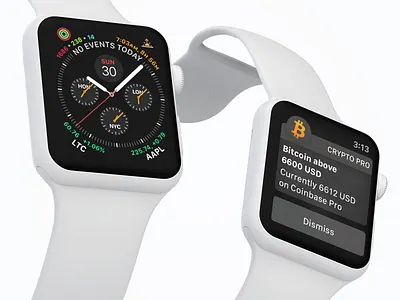 Crypto Pro™️ Apple Watch Promo apple watch bitcoin complication crypto ethereum litecoin notification series 4