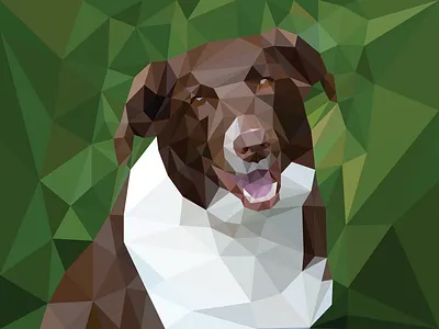Gracie adobe illustrator design design challenge dog dog art dog illustration dog lover dog portrait dogs illustration low poly low poly art low poly portrait michigan designer michigander shapes triangles vector
