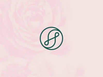 Curves ampersand branding commission des moines design hand lettering iowa lettering logo vector