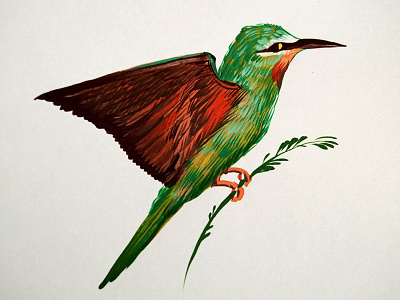 Humming-bird art design illustration дизайн иллюстрация