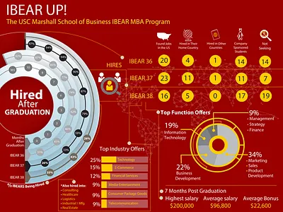 Data Visualization data data visualizations excel graphic design info graphic