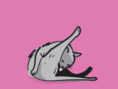 Cat - self cleaning bath cat cat lady doodling illustration pink vector