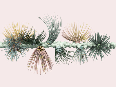 Larch 3ddesign cinema4d conifers design herbarium illustration larch motiongraphics nature needletree plantasia plants poster xparticles