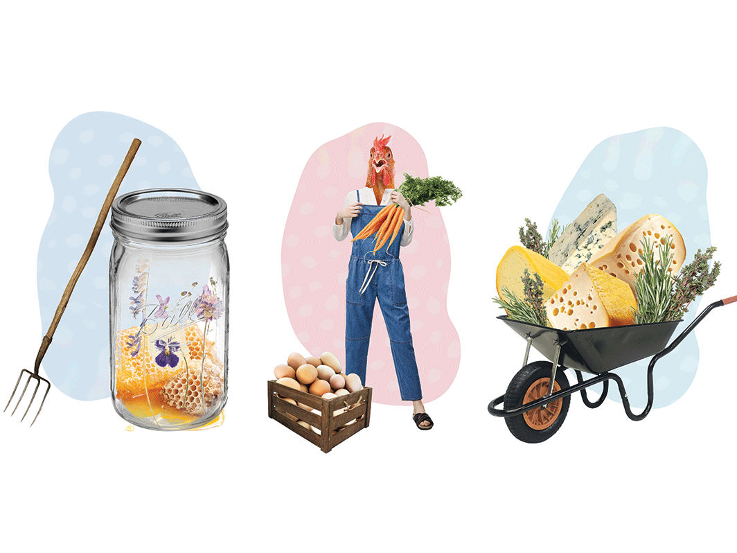 Lady's Hat Farm, Product Illustrations branding collage illustration