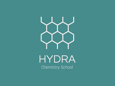 Hydra brand branding concept design designer imaginary letters logo school simple typography vector