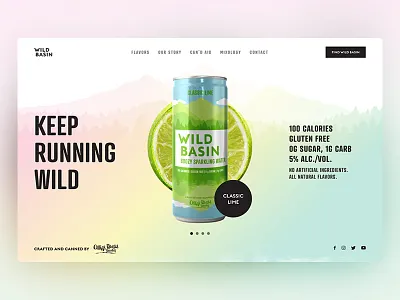 Wild Basin Boozy Water Landing Page Design clean colorful modern ux design ux designer ux ui