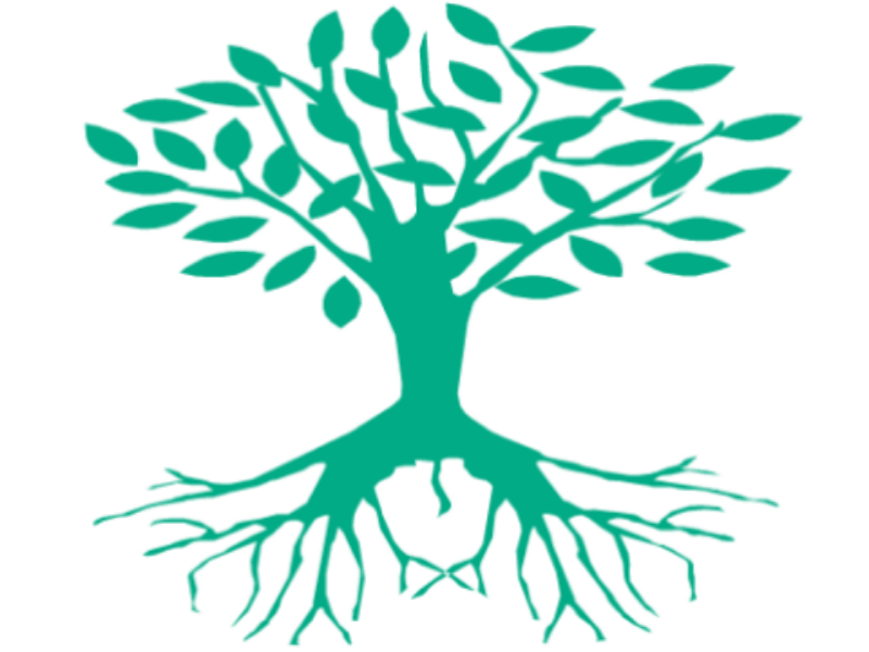 Example of Tree