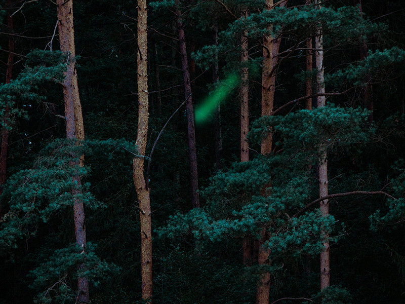 a situation in the forest abstract ae animation forest line motion nature orbit unsplash