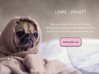 Page not found/moved 404 page dailyui design ui web