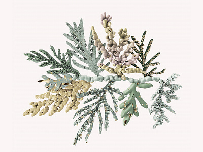 Branching 3ddesign cinema4d conifers design herbarium illustration motiongraphics nature needletree plantasia plants poster xparticles