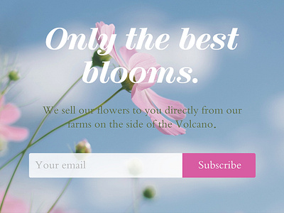 Day 026 - subscribe - daily ui 100 daily ui 100 day project bloom branding clean design flat flowers freelance designer green pink plant simple subscribe form type typography ui ux web website