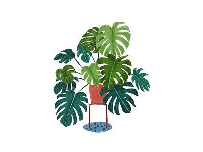 Plant illustration botanicalillustration digital drawing drawing home illustration plant plant illustration