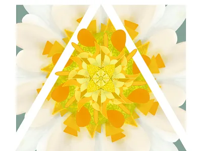Kaleidoscope Daisy Drawing abstract daisy design drawing flower illustration kaleidoscope procreate