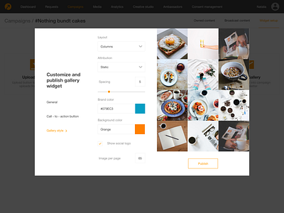 Gallery Widget campaign card dashbord model window popup ui ux widget