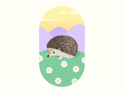 Hedgehog animal character color colors drawing face flat graphic illustration modern vector