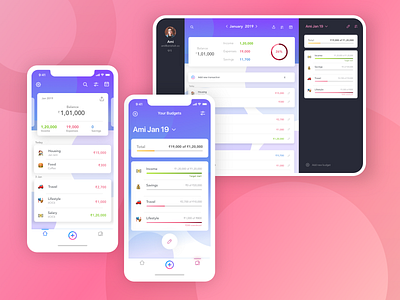 Budget Planner App app cross platform ipad pro iphone xs