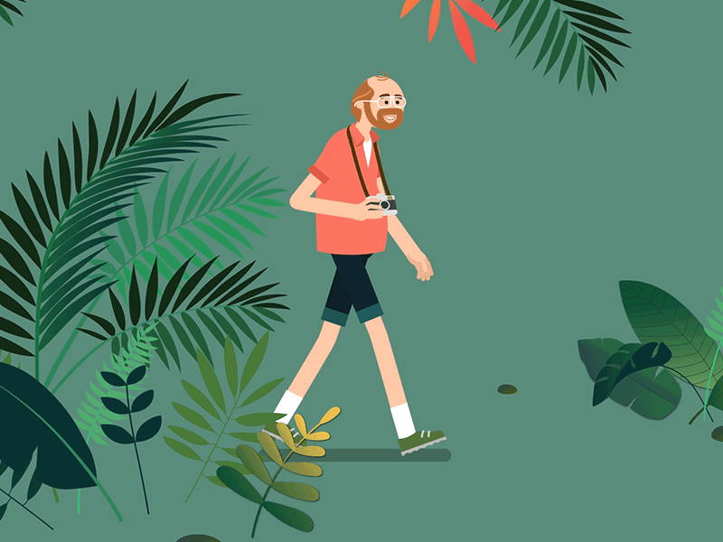 Walk Cycle 2d animation after effects animation character animation design gif jungle motion design walk cycle