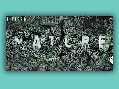 Leafs design ui ux web