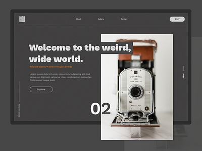 Vintage Camera camera grey grey scale photo retro scroll store ux vintage web shop