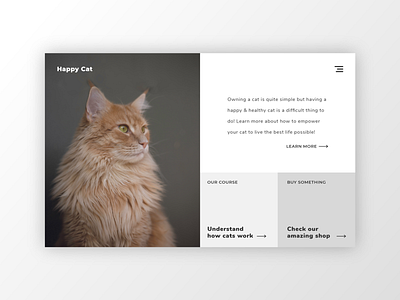 Happy cat! daily ui design ui ux